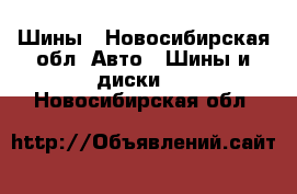 Шины - Новосибирская обл. Авто » Шины и диски   . Новосибирская обл.
